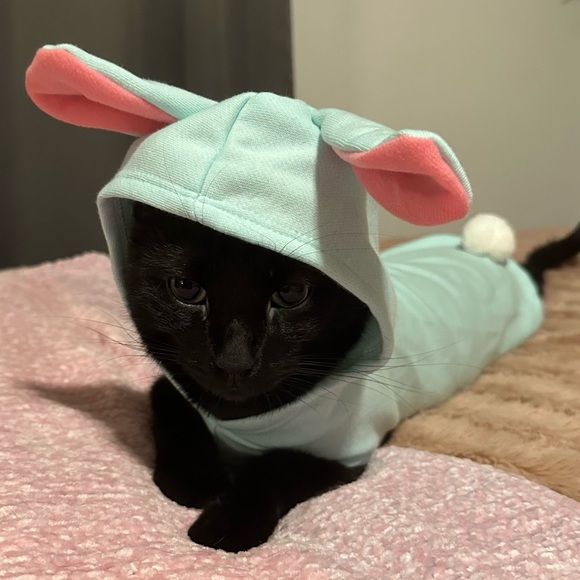 LIKE To Be Notified When I Go Live/Silent πΉ - Picture 13 of 14